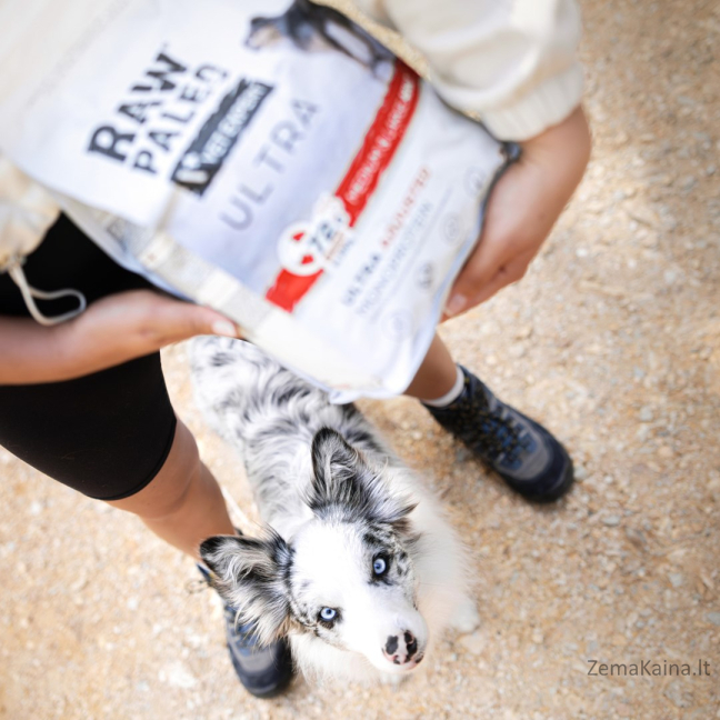 VetExpert Raw Paleo Ultra Wołowina Medium&Large Puppy 2kg 6