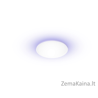 Yeelight Light išmanusis lubinis šviestuvas C 2201C300