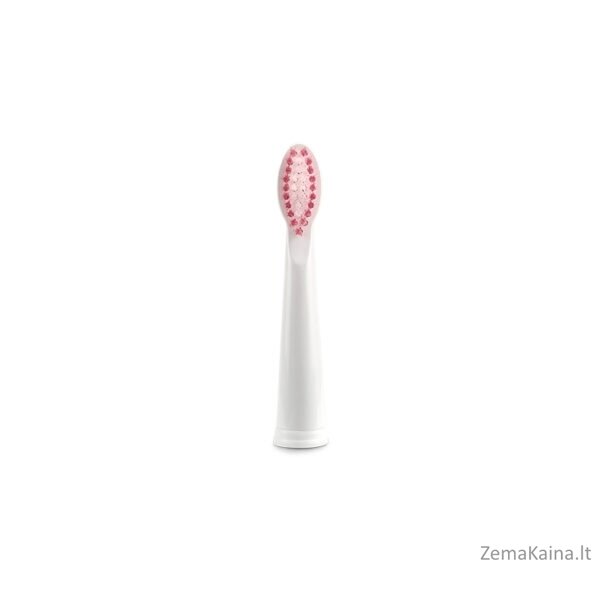 Zelmer ZTB1010W 2